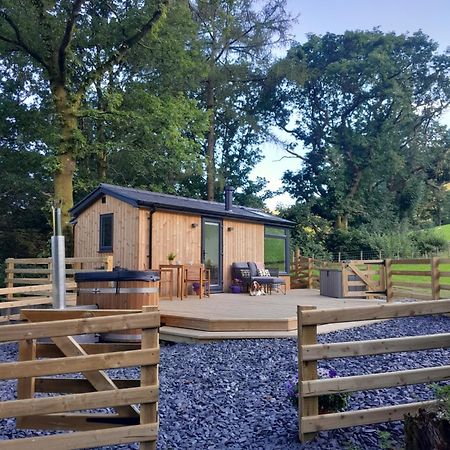 Ty Nant Gwenyn Villa Llanymawddwy Eksteriør billede