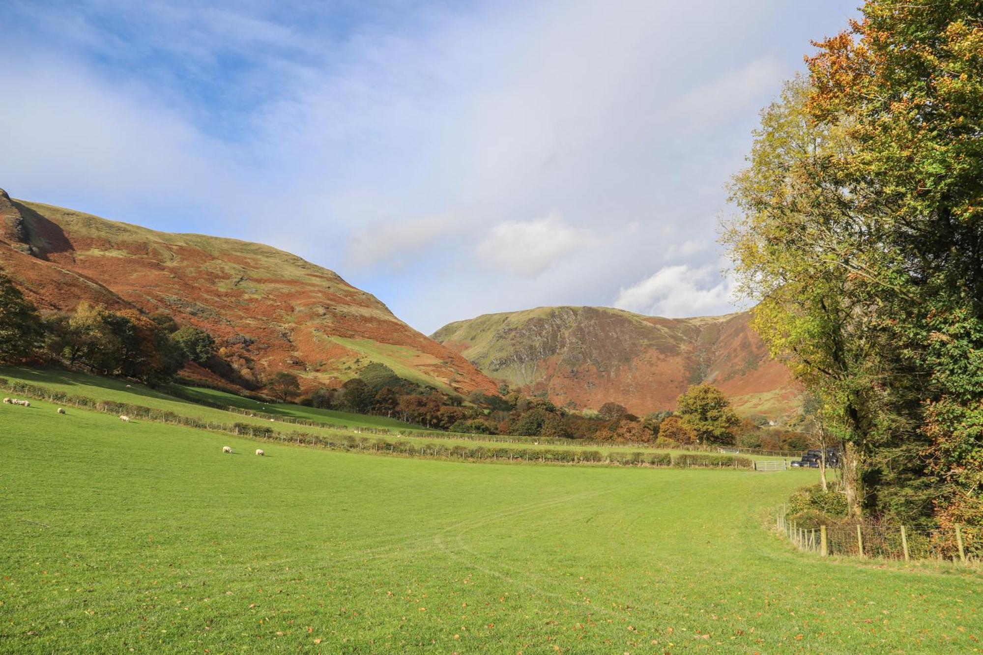 Ty Nant Gwenyn Villa Llanymawddwy Eksteriør billede